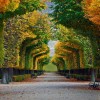 schönbrunn-palace-gardens-in-vienna-austria-20161023